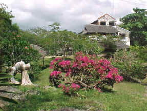 A view of the main house from the bottom of the garden.